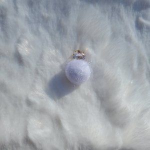 White Jeweled Ball Earrings